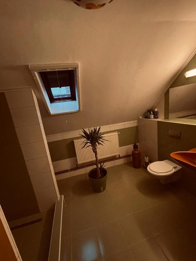 Casa Verde Foeni Luaran gambar